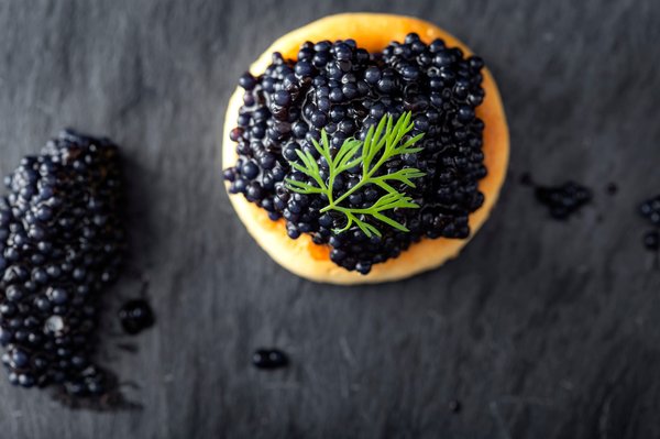Caviar d'aquitaine : découvrez l'innovation engagée française